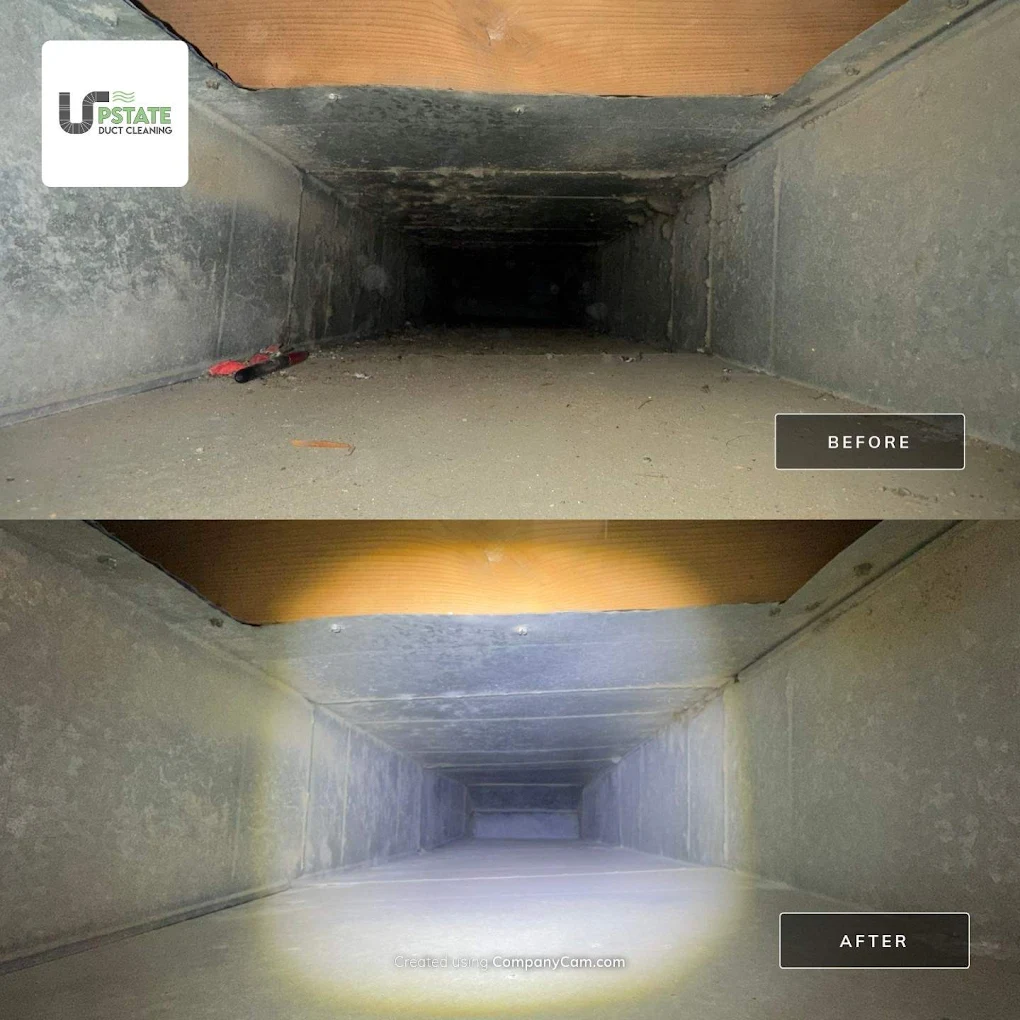 Before-and-after dryer vent cleaning highlighting lint removal to reduce fire risk and boost dryer efficiency.